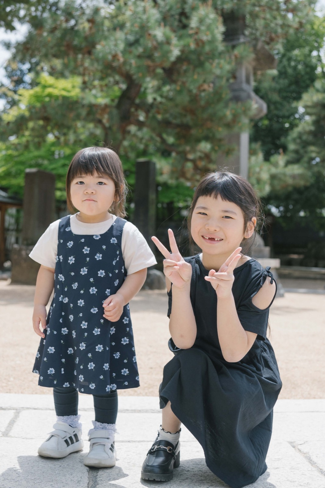 フォトギャラリー 5